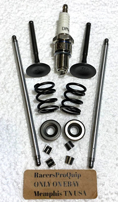 Predator Hemi 212cc RACE Stainless Valve Upgrade Split Lock w/Pushrods & Springs