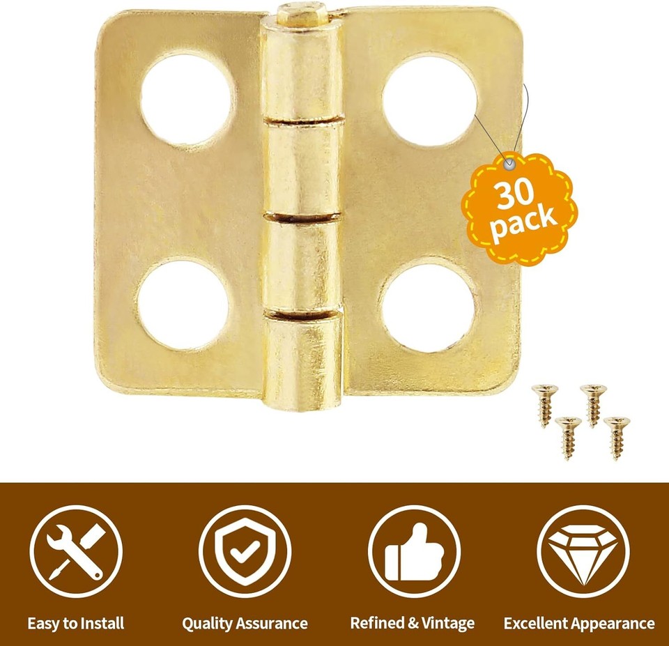 30 Pcs Mini Hinges Miniature Hardware with Screws for Wooden Box Crafts