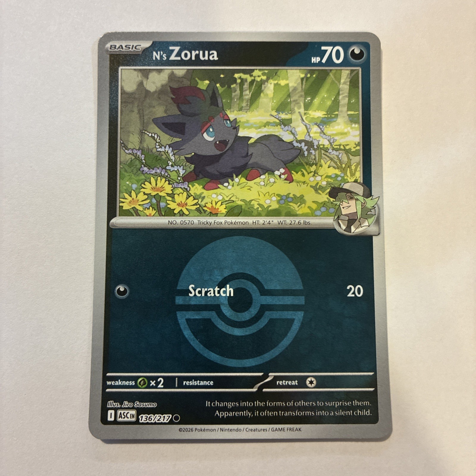 N's Zorua Reverse Holo Pokéball Ascended Heroes #136/217 Pokemon 2026 NM
