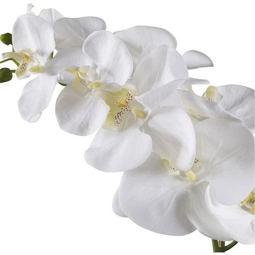 Uttermost 60178 Cami White Ceramic Orchid - Picture 3 of 4