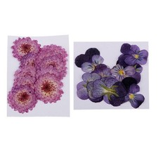 22x Echte Gepresste Blume Trockenblume f&uuml;r Handy Cover Harz Schmuck Zum Selbermachen Handwerk