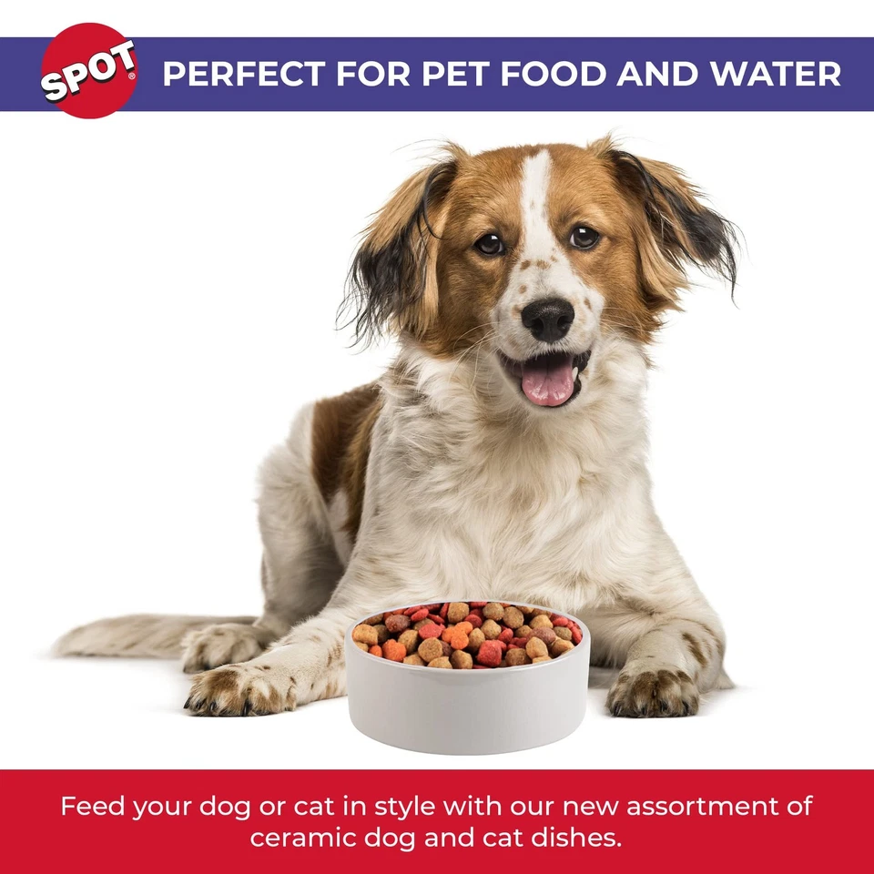 GRES CERÁMICO SPOT - Cuenco para mascotas para perros medianos y grandes, clásico pesado... Foto 2 de 4