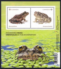 2024 Canada SC#3420 - Frogs and Toads - Souvenir Sheet - M-NH