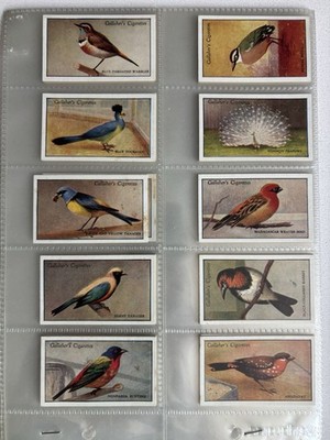 gallaher cigarette cards value Gallaher Cigarette Cards Zoo Tropical Birds 2nd Series 1929 Complete Set of  50