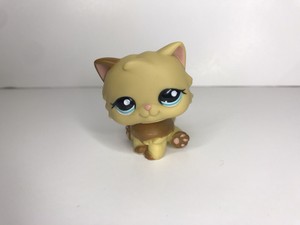 lps persian cat