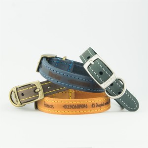 leather lead and collar