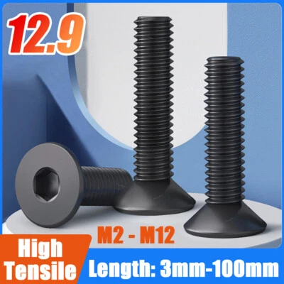 Tornillos avellanados hexagonales Allen M2 M3 M4 M5 M6 M8 -M12 12,9 Ht Csk