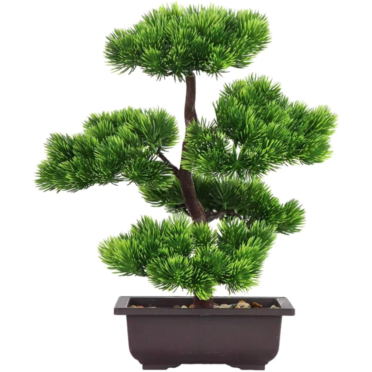 Blhende Pflanzen, Bonsai Innenbereich online kaufen | eBay.de