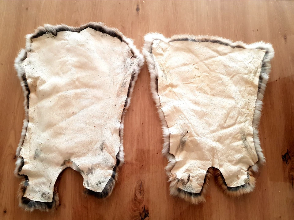 2x Original Kaninchenfell, Natur Felle, ca. 55–60 cm, Deko Handarbeit, selten - Bild 2 von 4