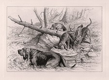 Original R. H. MOORE 1800s Etching "Hunting with out a Scent" SIGNED Framed COA
