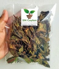 Vasaka Dried Malabar Nut Flower  Pawatta Adathoda Sinusitis Best Tea  3.5-26.5oz
