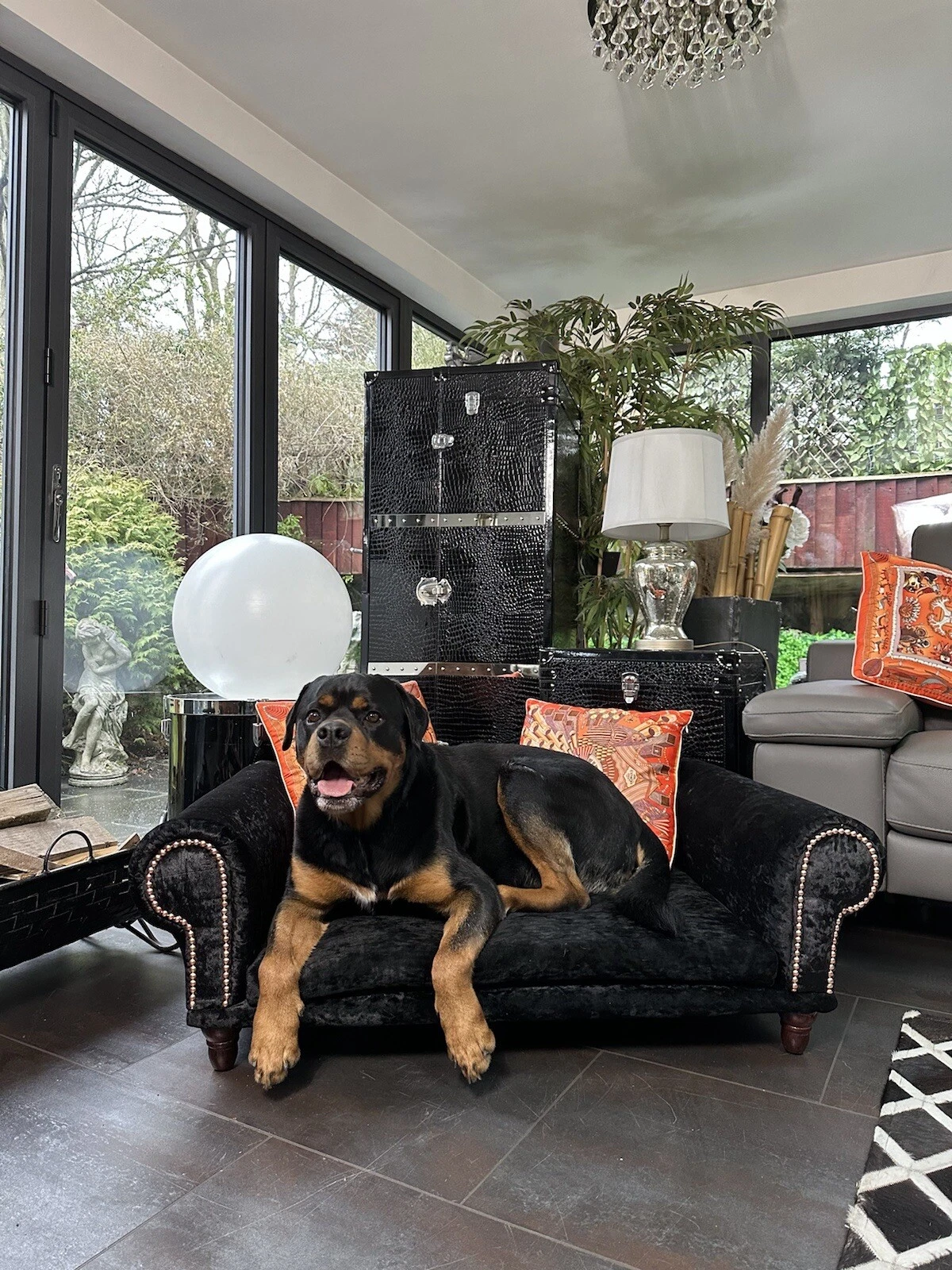 Large black crushed velvet dog lounger sofa bed / washable seat. Pet furniture.