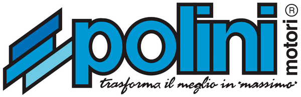 "Kolben Polini Kit Evolution Ø 60Mm \"D\" (59,95) Piaggio Vespa 125 2T Primavera"-image