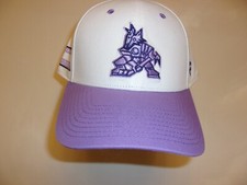 ARIZONA COYOTES Nick Bjugstad #17 hat Hockey Fights Cancer game (November 2023)