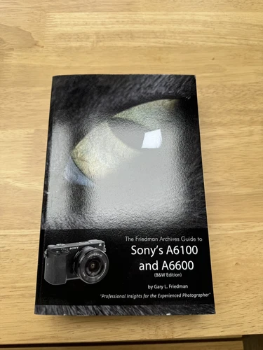 The Friedman Archives Guide to Sony's Alpha 6100 and 6600 (B&W Edition)
