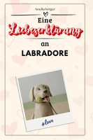 Eine LiebeserkläRung An Labradore Amelia KrüGer Taschenbuch 66 S. Deutsch 2024
