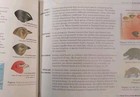Cpo Focus On Life Science by Scott Eddleman — photo 4
