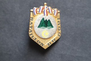 Insigne ancien INDOCHINE Bataillon du DOUI fabricant Drago