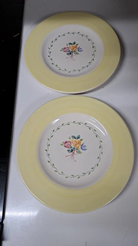 Rosehaven Yellow Rim Salad Plates Pfaltzgraff  Set Of 2. Discontinued 8" Diam 