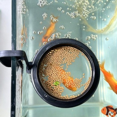 Aquarium Futterkreis mit Schwimmring und Wandhaken für Stabilität
