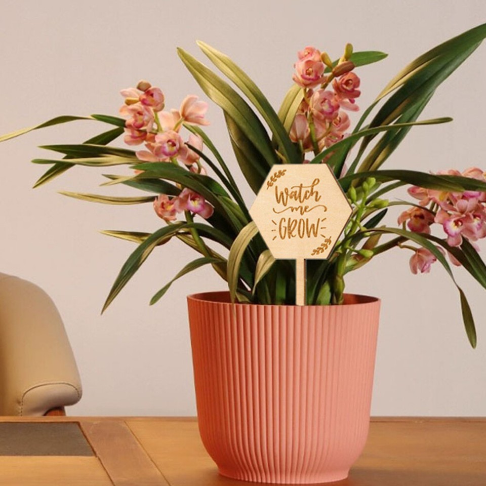 40 Pcs Plant Tags Pot Marker Greenhouse Sign Succulent Card Baby eBay