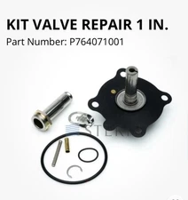 STERIS P764071001 1’’ REPAIR VALVE KIT VALVE (P764071001) S3 REPAIR KIT