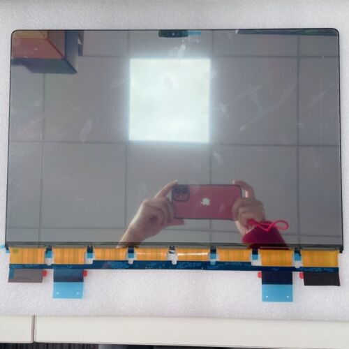 The A2991 LCD screen