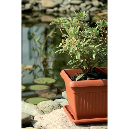 Blumenkübel Blumentopf mit Untersetzer quadratisch anthrazit terrakotta 6 Größe - 第 9/19 張圖片