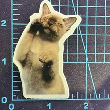 Playing  with My Paws In The Air - Cat World - Vinyl Sticker Decal Sticker Bomb