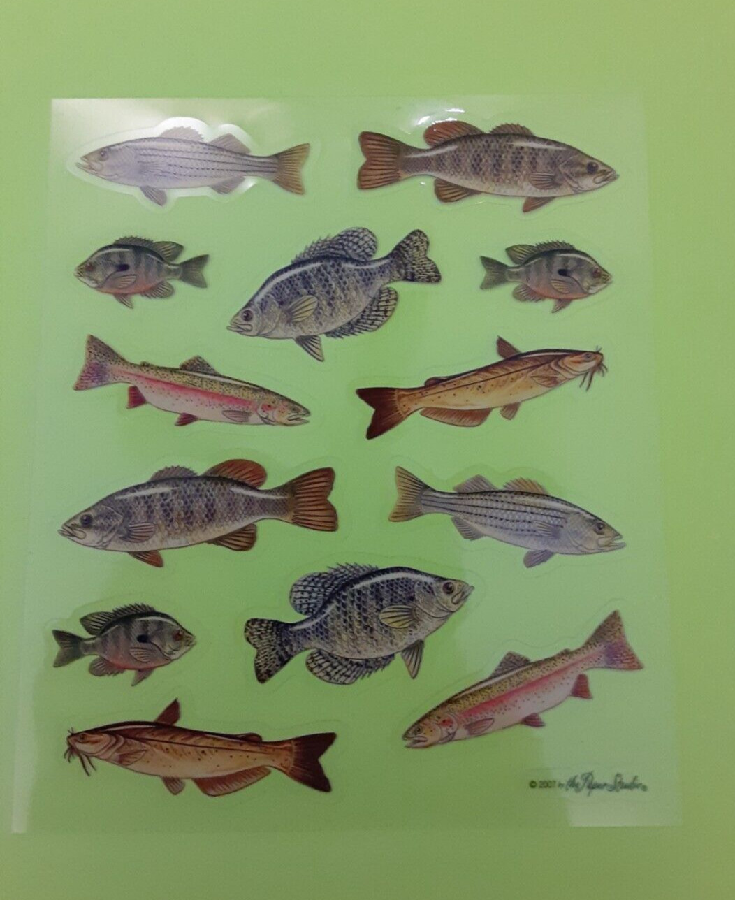 the Paper Studio see-thru fish small sticker sheet
