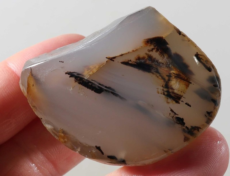 Montana Yellowstone River Agate Lapidary 2.5 oz windowed rough lot V1