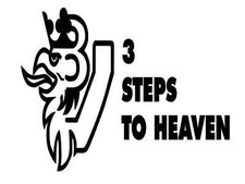 SCANIA 3 STEPS TO HEAVEN x2 VABIS V8 NEXTGEN ...