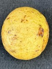 Garcinia sp "Citrus" - 1 YR OLD — photo 2