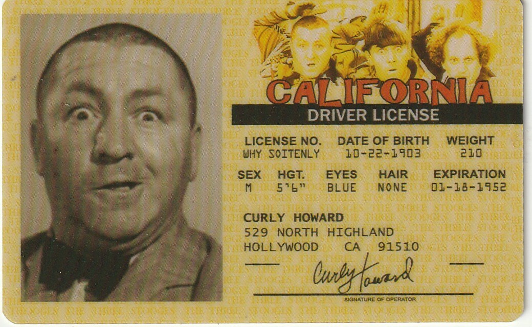 Curly Howard Three Stooges novelty Drivers License ID collectors