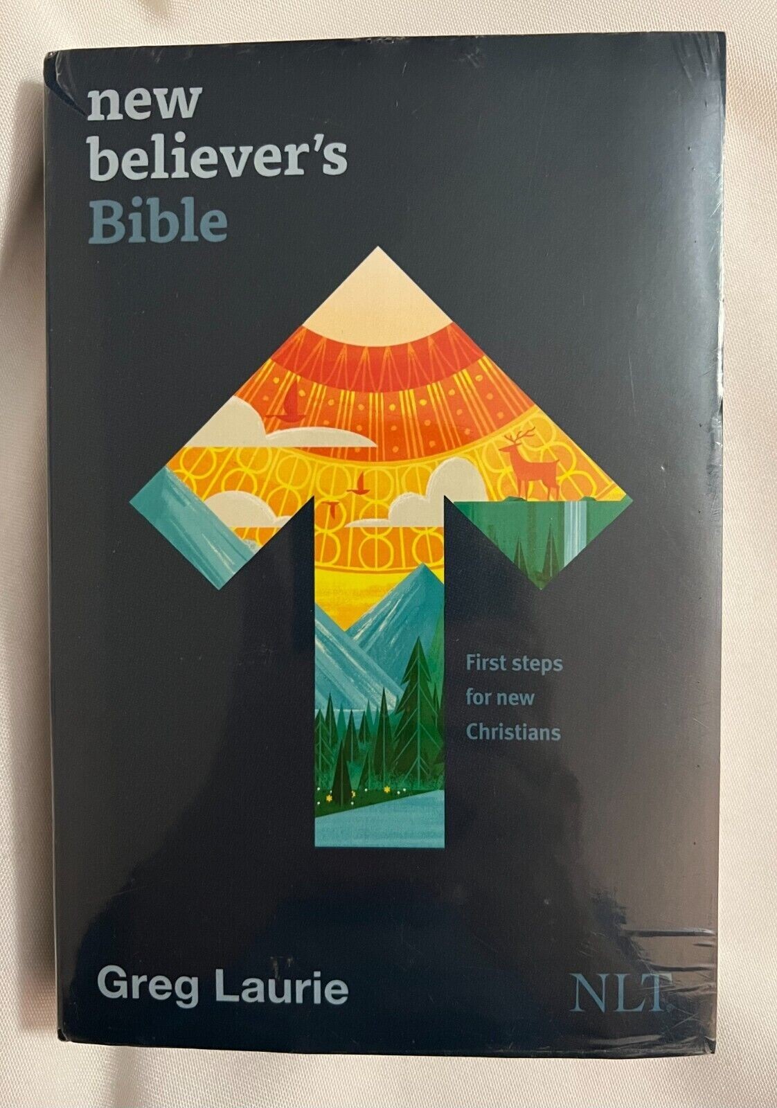 New Believer's Bible Nlt (Softcover): First Steps For New Christians ...