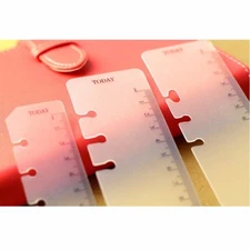 A5/A6/A7 Size Today Page Marker Frosted Plastic Ruler Insert Refill Organiser #0