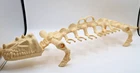 1984 Battle Bones Complete Vintage MOTU He-Man Figure Vehicle Carrying Case