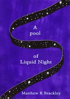Matthew R Brackley | A Pool Of Liquid Night | Taschenbuch | Englisch (2014)