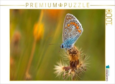 CALVENDO Puzzle Hauhechel-Bläuling | 1000 Teile Lege-Größe 64x48cm Foto-Puzzle f