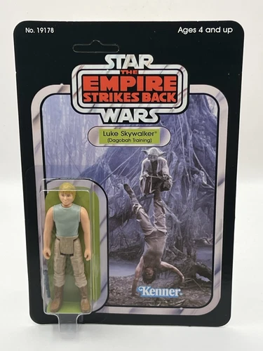 Luke Skywalker (Dagobah Training)Vintage Kenner-Style ESB STAN SOLO Carded