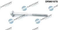 Dr.Motor Automotive Schraube, EinspritzdüSenhalter DRM01078 FüR Audi Seat
