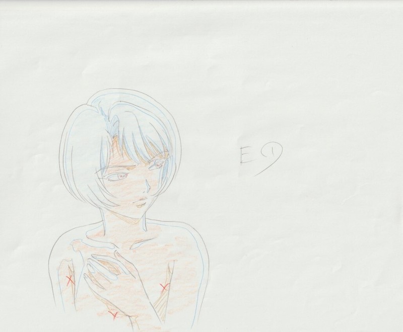The Twelve Kingdoms Juuni Kokki Genga Douga Original Sketches Pierrot - Yuka