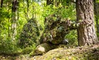 <!--F#f_0-->Ghillie Suit Evaluation & Improvement Tips<!--F/-->