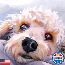 Diymood DIY 5D Diamond Painting Kits for Adults Dog Puppy - Diamond Art Kits