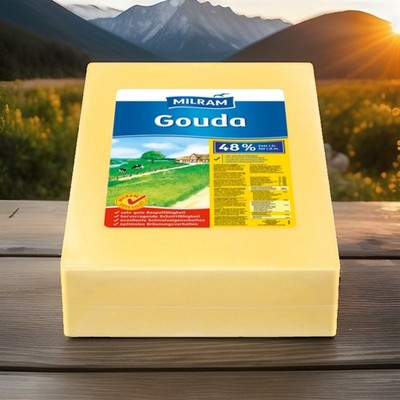 MILRAM Gouda 48 % Fett i.Tr. | 15 kg Block | Pizzakäse | Schnittkäse Gastro