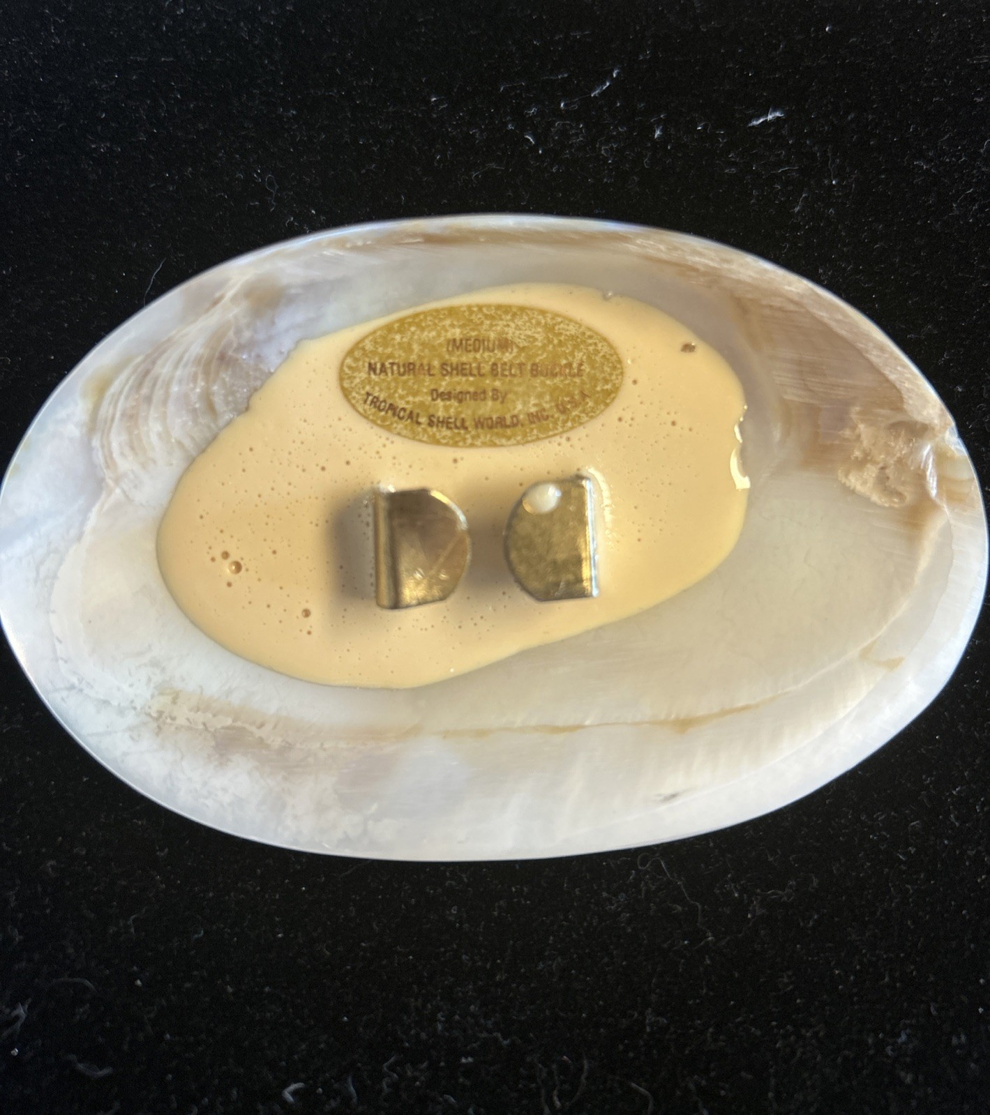 Tropical Shell World Medium Natural Shell Belt Bu… - image 2