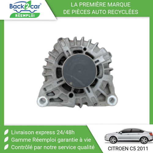 Régulateur D'Alternateur NTY Pour Citroën C5 3.0 V6 24V - Neuf Fabriqué France