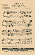 Fantasie über das Lied: "Alle Tage ist kein Sonntag", J. Theimer, Salonorchester