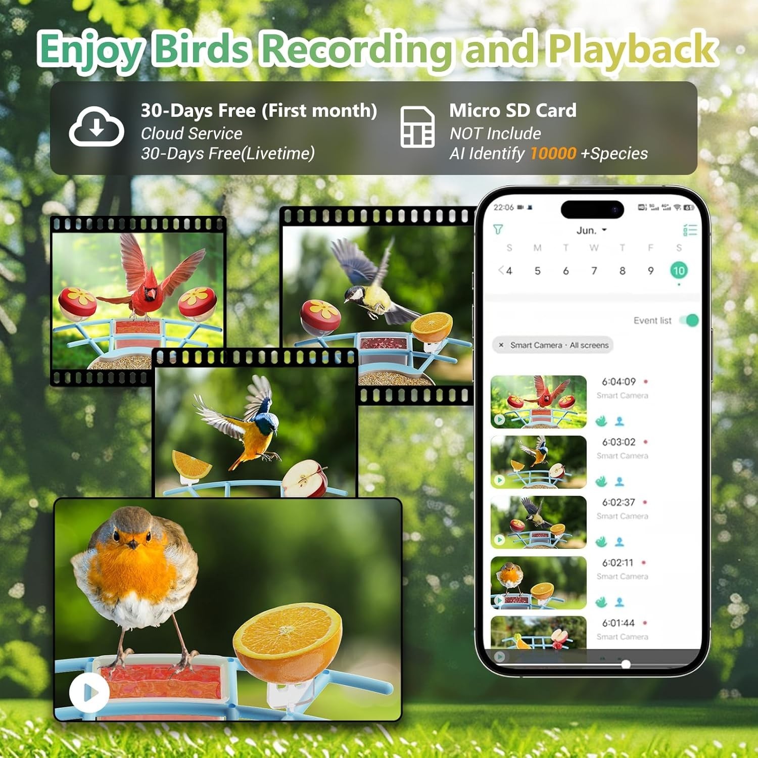 Smart Bird Feeder with Camera, Outdoor Bird Watching Camera House with Solar Pow