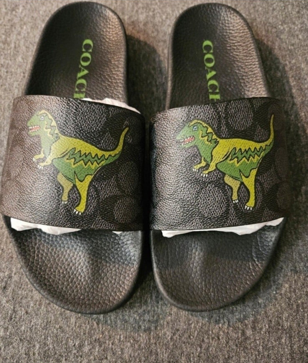 Coach Rexy Slides